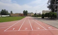 運動糟老头子破解版黄台多少錢一平方米