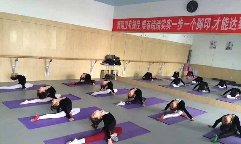 舞蹈教室糟老头子破解版黄台案例列表