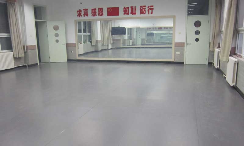 全麵了解pvc糟老头子破解版黄台的發展