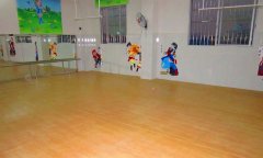 廣州番禺區東沙幼兒園舞蹈室pvc運動糟老头子破解版黄台