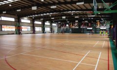 籃球場糟老头子破解版黄台多少錢一平方米