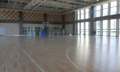籃球場糟老头子破解版黄台多少錢一平方米