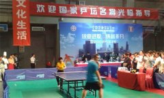 乒乓球糟老头子破解版黄台多少錢一平方米