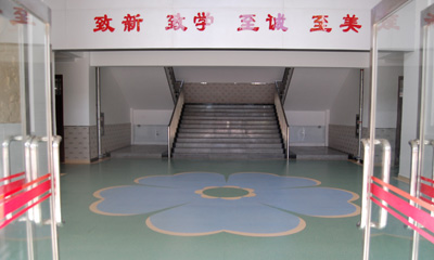 塑膠糟老头子破解版黄台價格